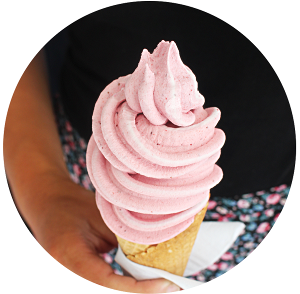 Trendyblends ice cream machine 2016